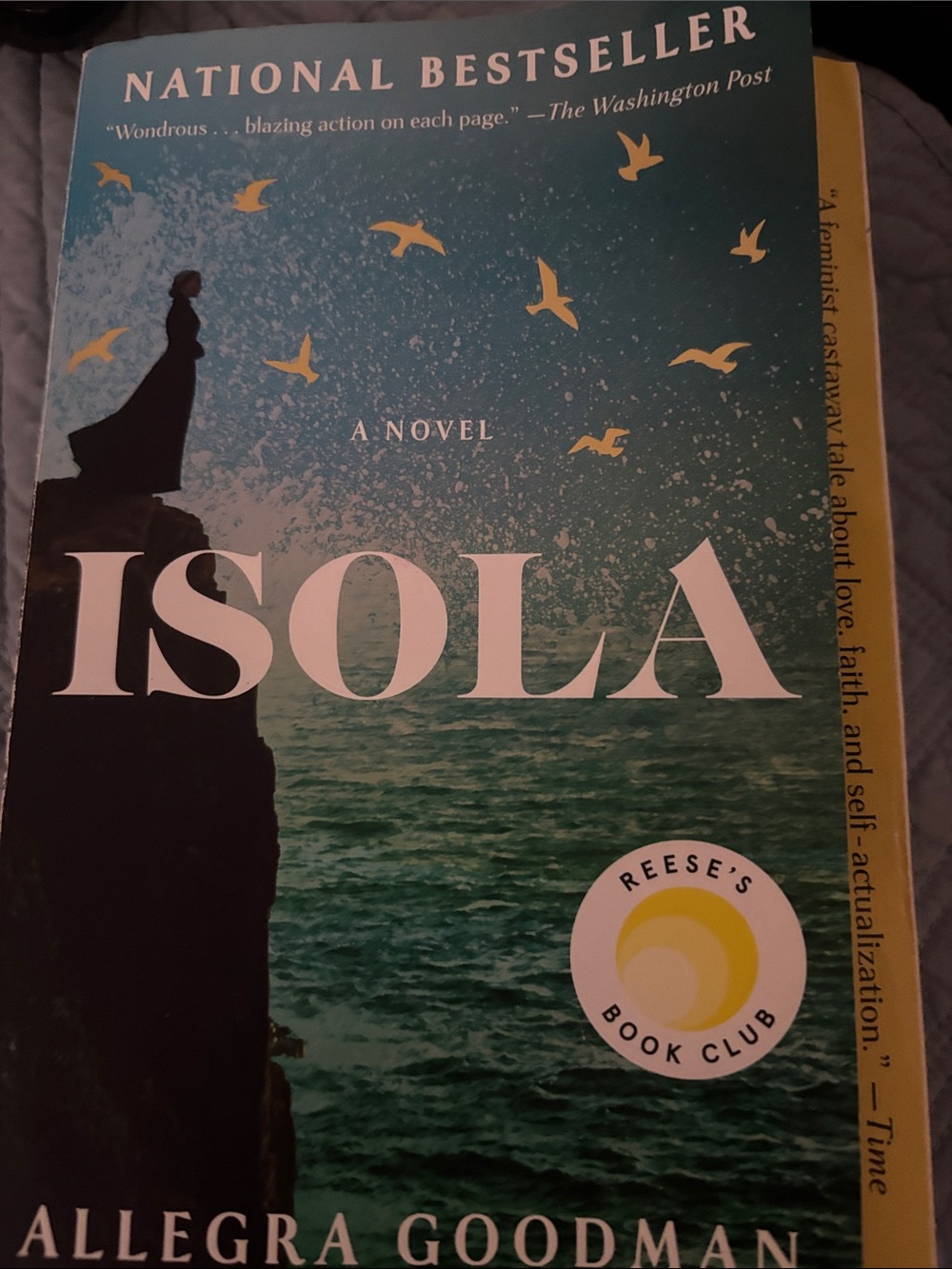 Isola by Allegra Goodman Reese's Book Club pick and a national bestseller.